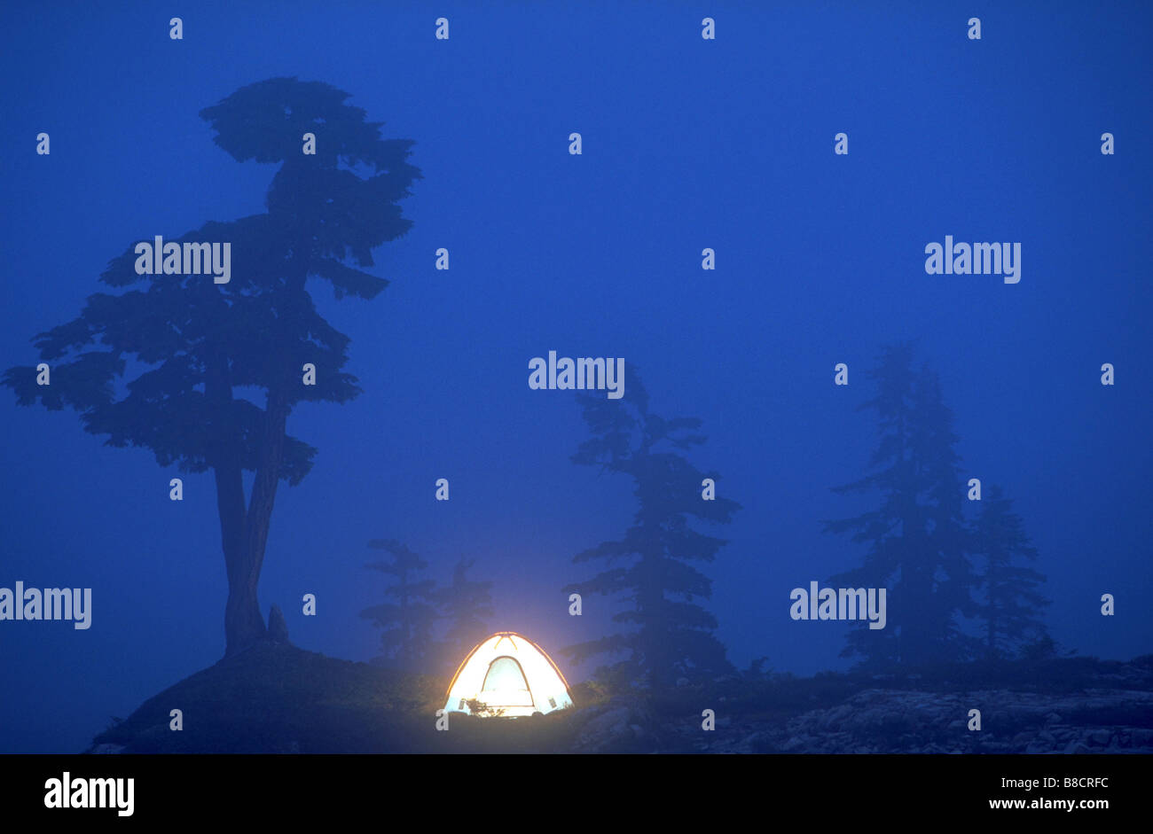 FV0044, Dave Nunuk; Illuminated tent fog  night BC Stock Photo