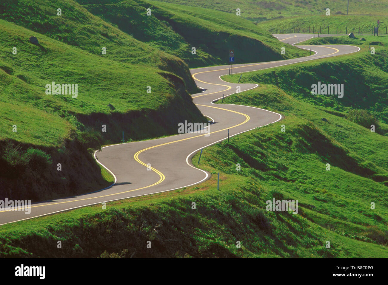 FV0277, Ron Watts; Winding country road, summer Stock Photo