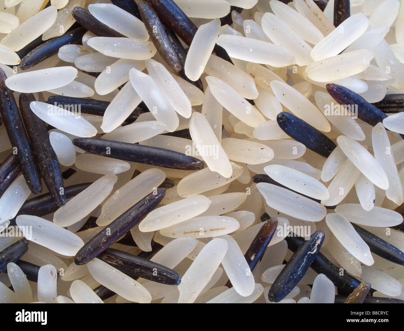 Wild rice grains Stock Photo Alamy