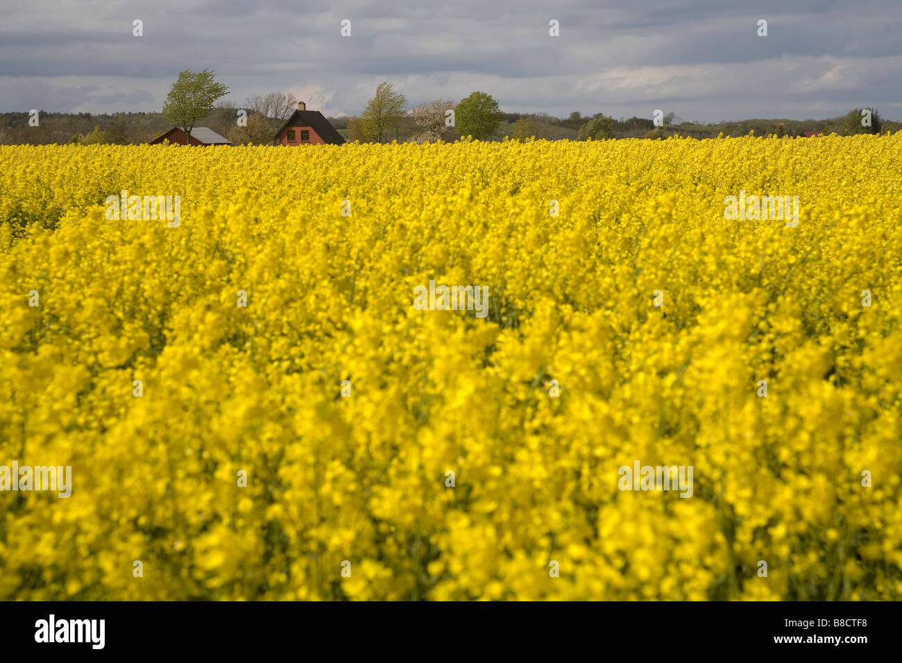 Bornholm island on the Baltic Sea, Denmark Stock Photo