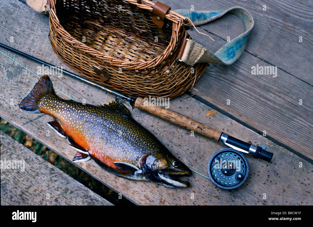 Brook Trout Fly Rod Creel Stock Photo - Alamy