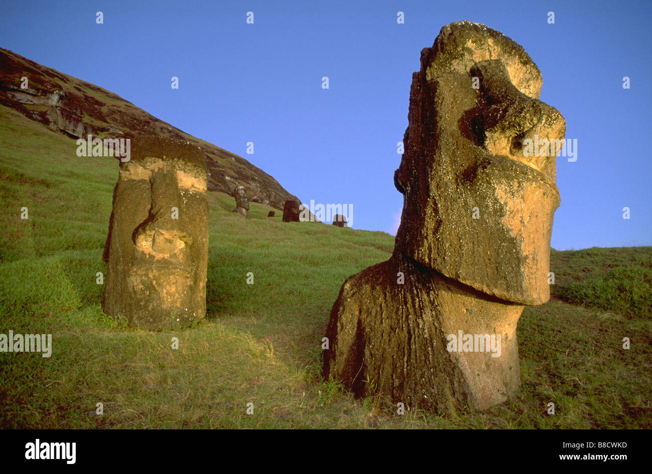 FV1064, Dave Nunuk; Head monuments  Easter Island, Chile, Moai  Rano Raraku Stock Photo