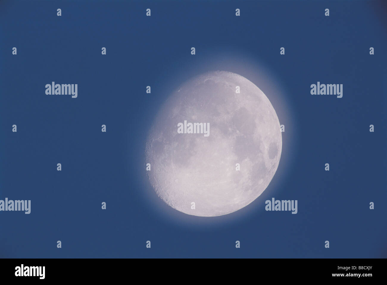 FV2128, David Nunuk; Moon, waxing gibbous Day 12 Stock Photo