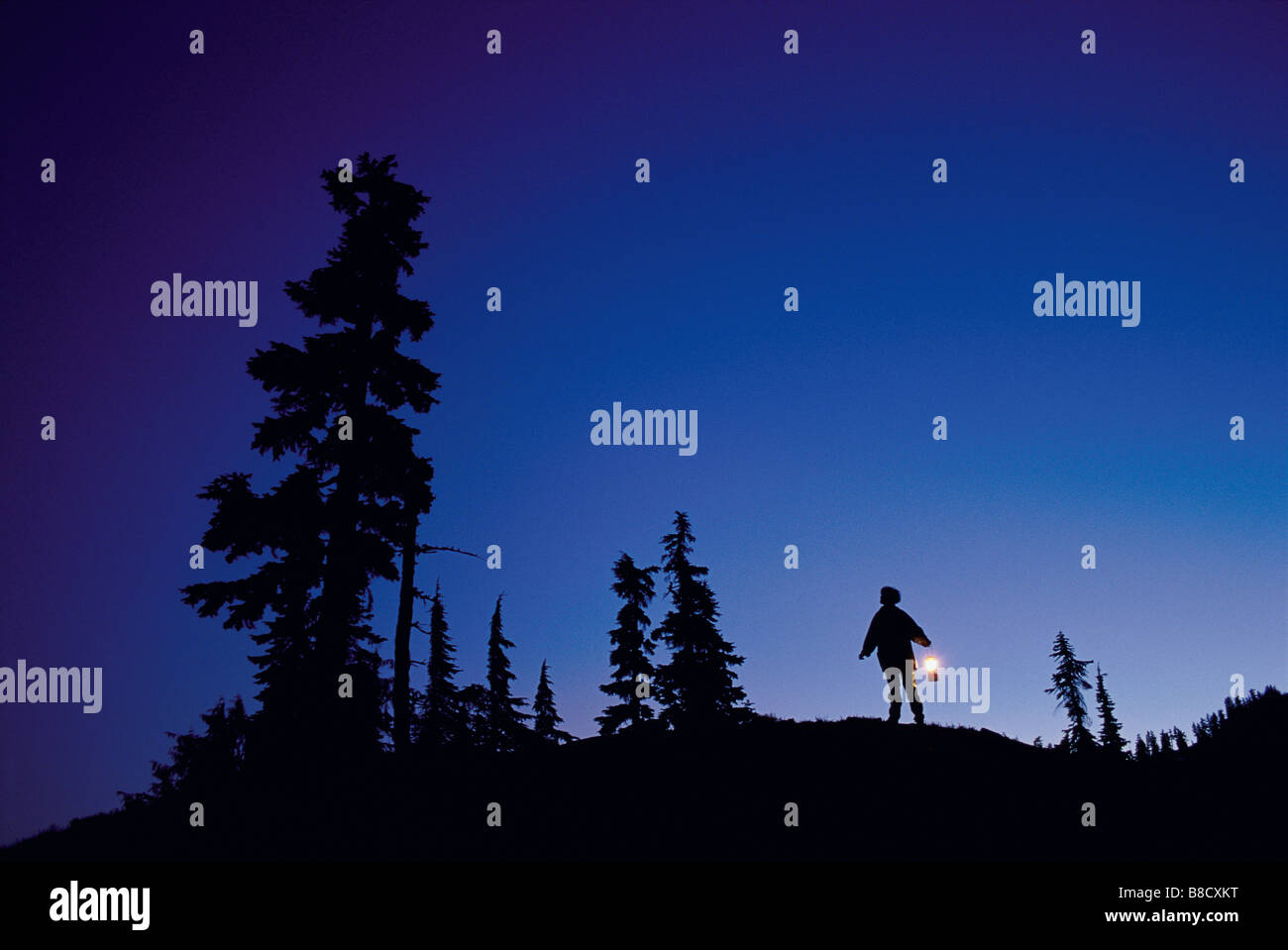 FV2130, David Nunuk; Silhouette  person  night outdoors lantern Stock Photo