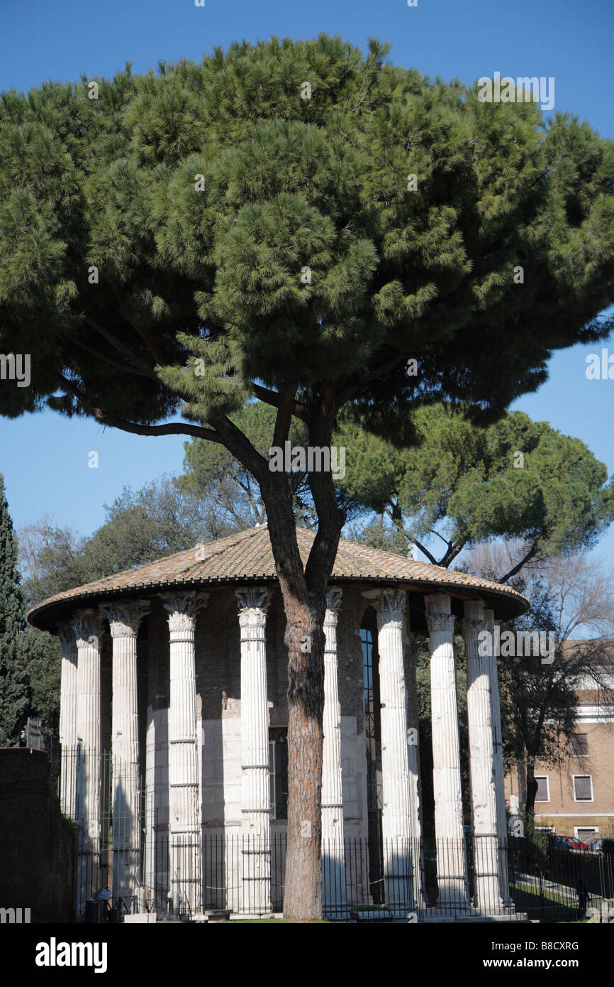 The temple of vesta rome hi-res stock photography and images - Alamy