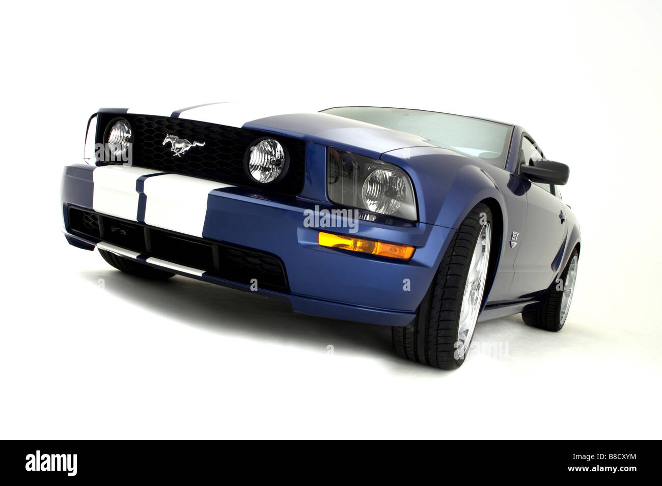Mustang blancas sale