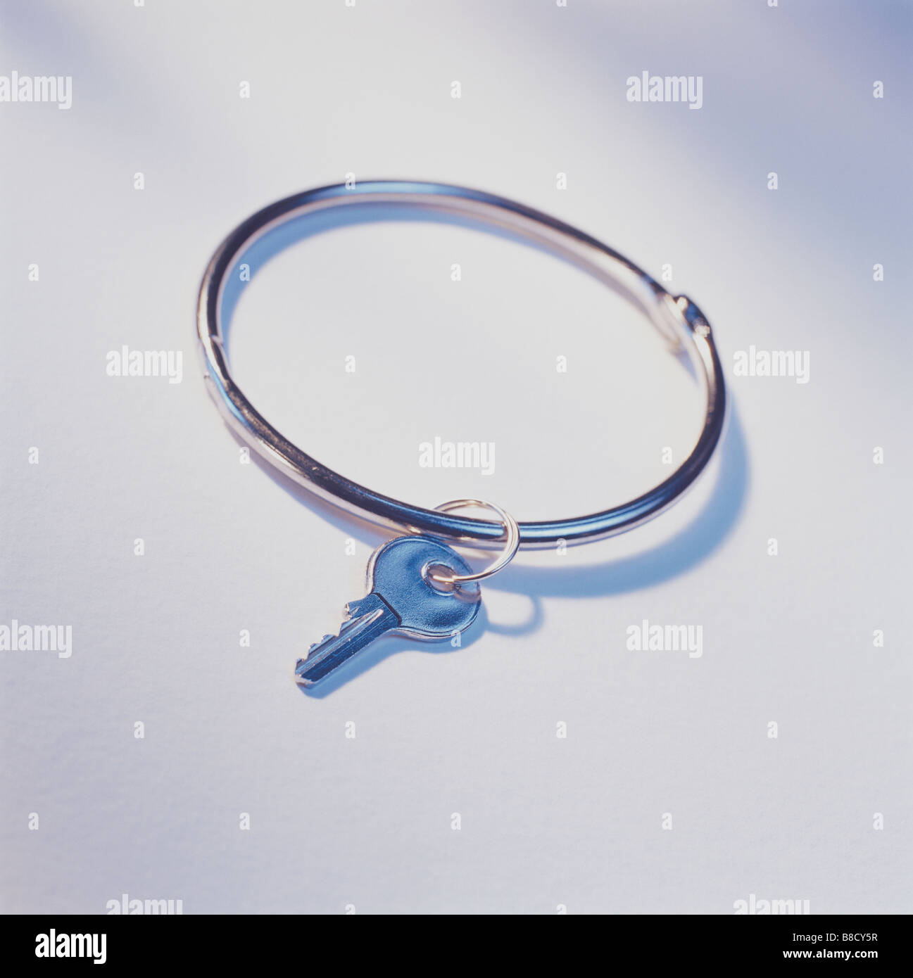 Large key ring hi-res stock photography and images - Alamy