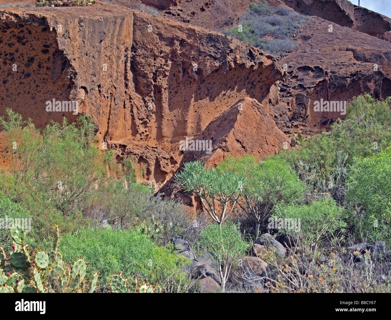 Volcanic rock with scrub land in the forground at Playa Parasio, Costa Adeje, Tenerife. Stock Photo