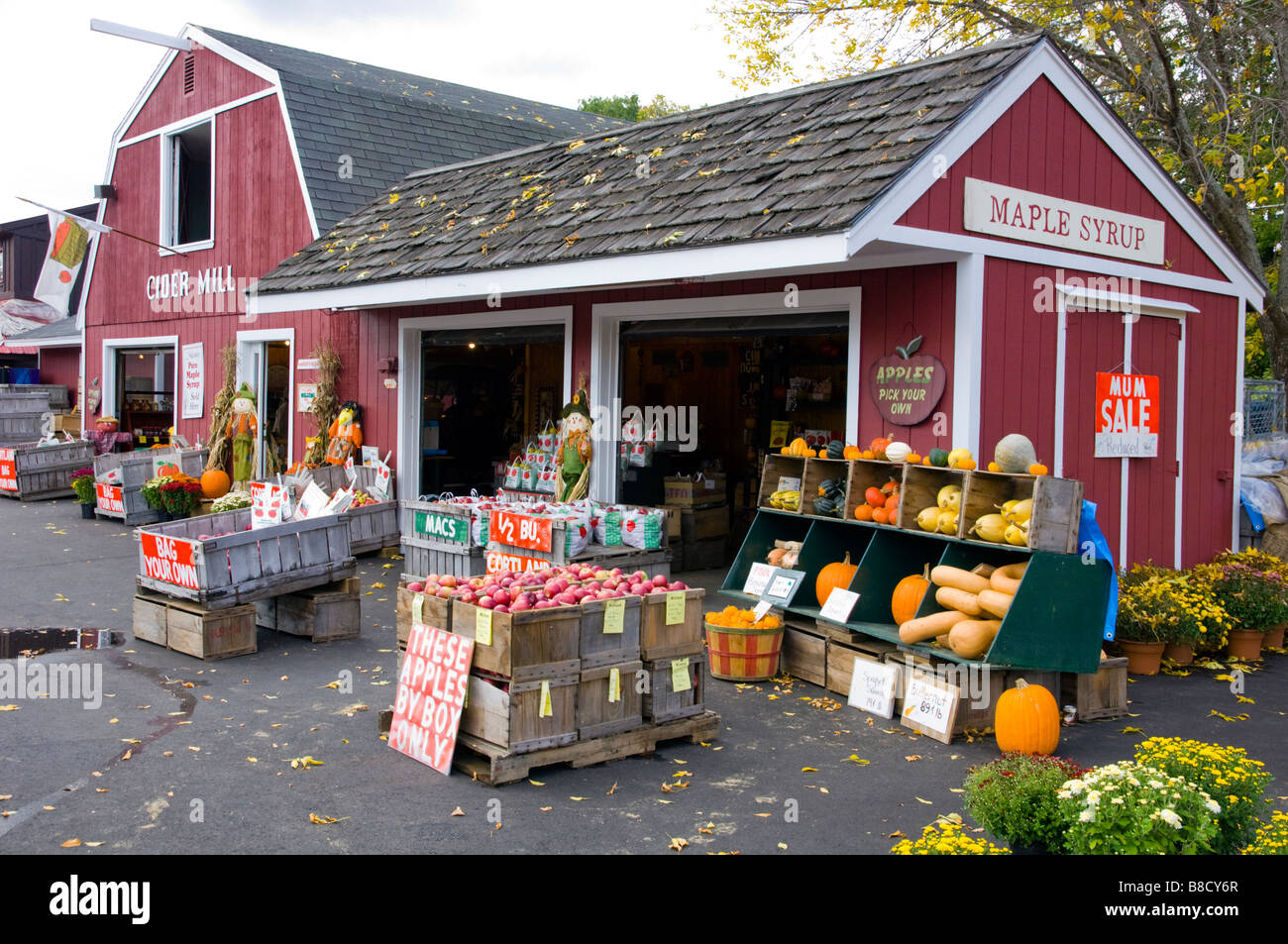 McSherry's Orchard with pumpkins and fall decor in Conway New Hampshire