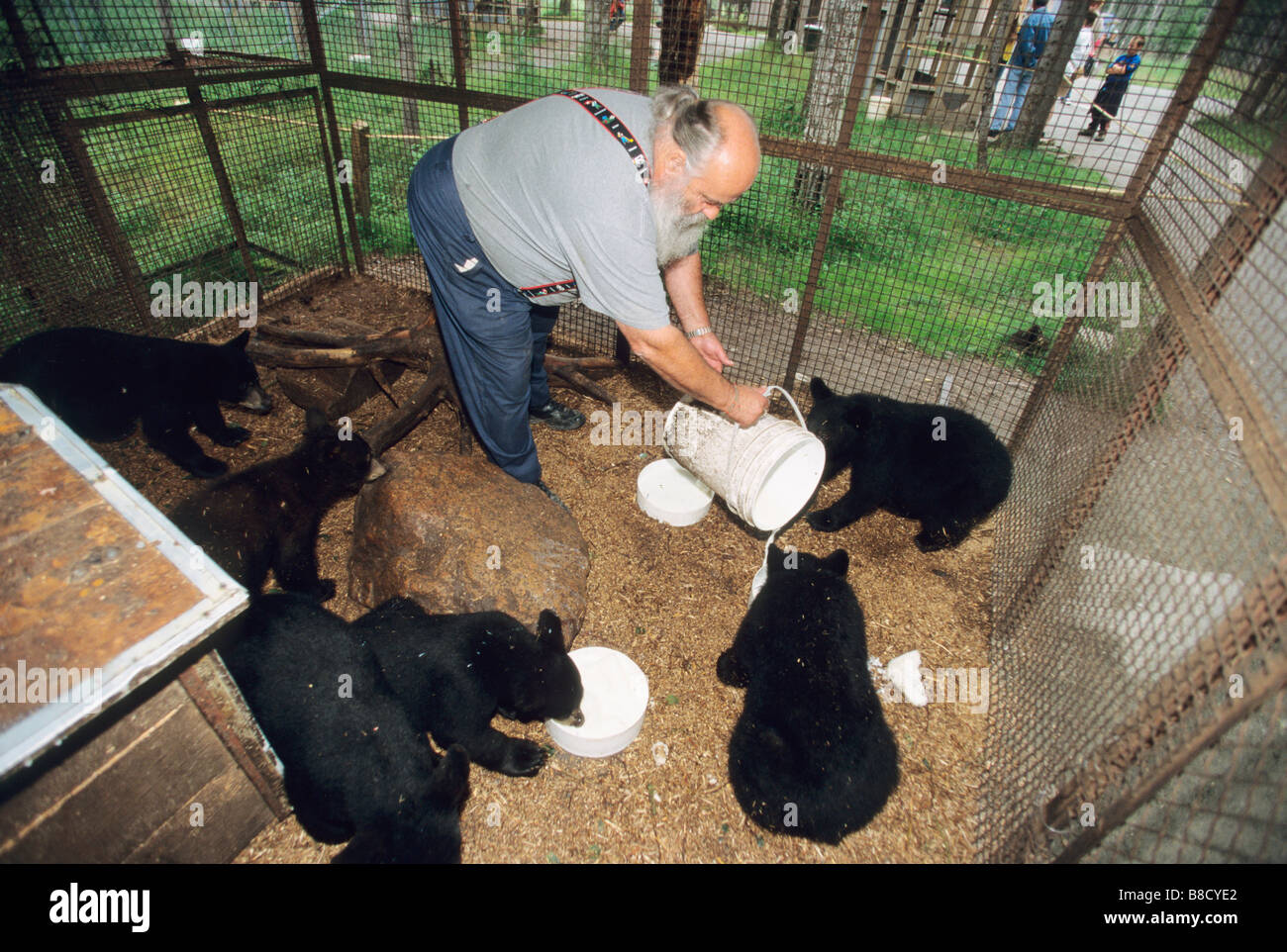 Owner Pageau Refuge Injured Animals, Amos, Quebec Stock