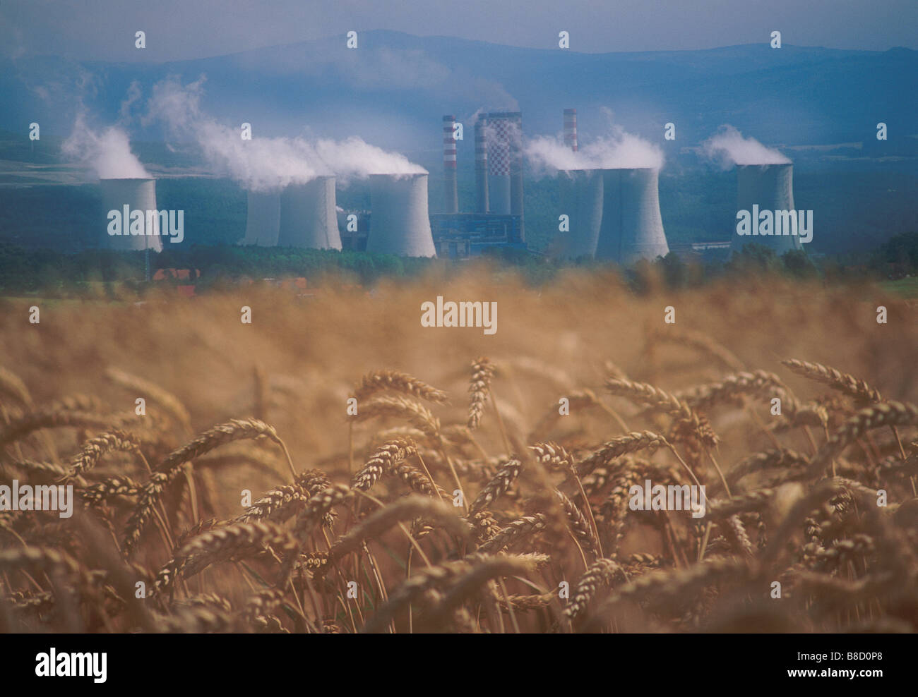 FV2546, David Nunuk; Wheat fields  coal burning power plants Poland Stock Photo
