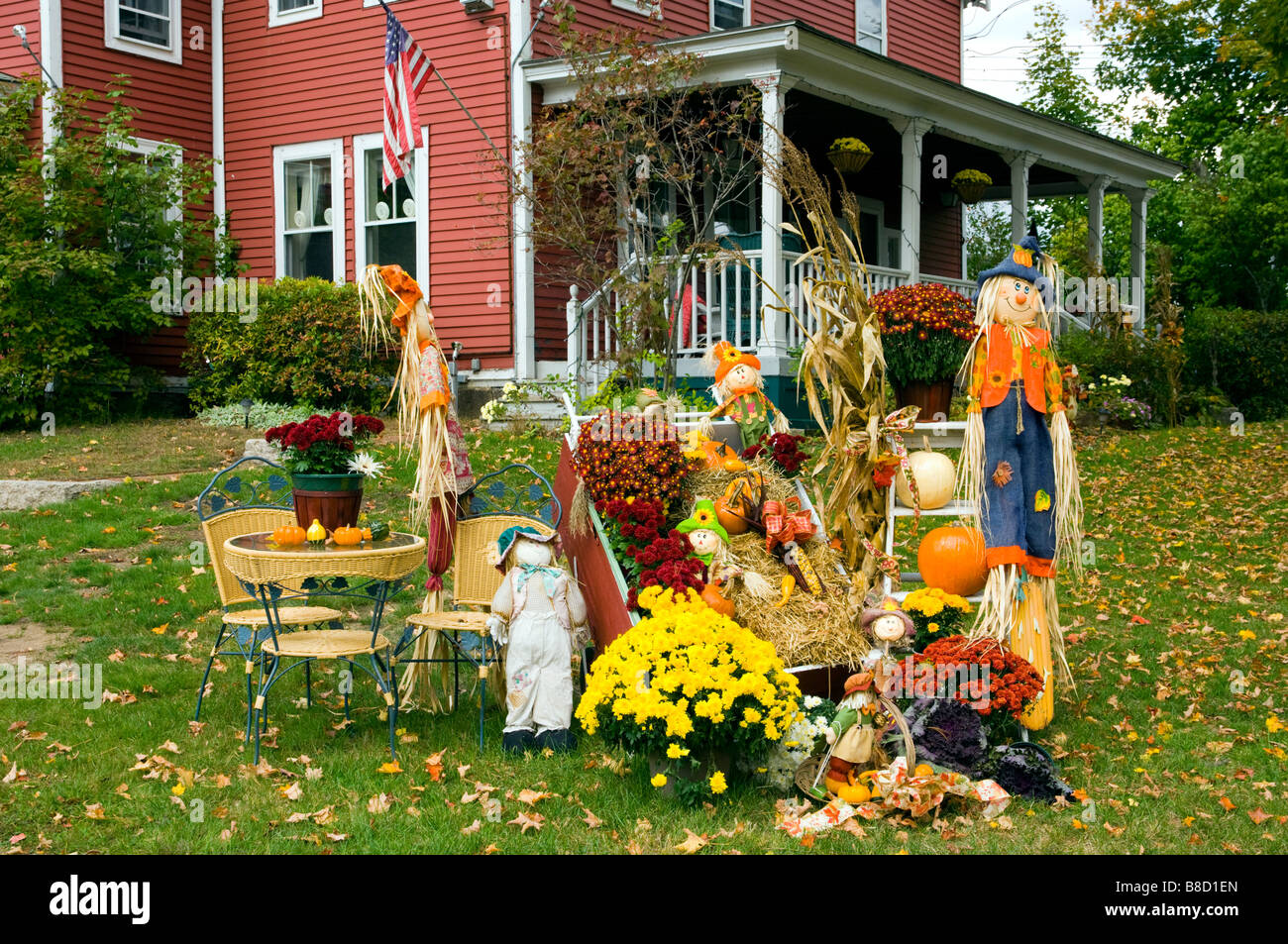 Autumn yard decor with pumpkins corn stalks and scarecrows at the Old