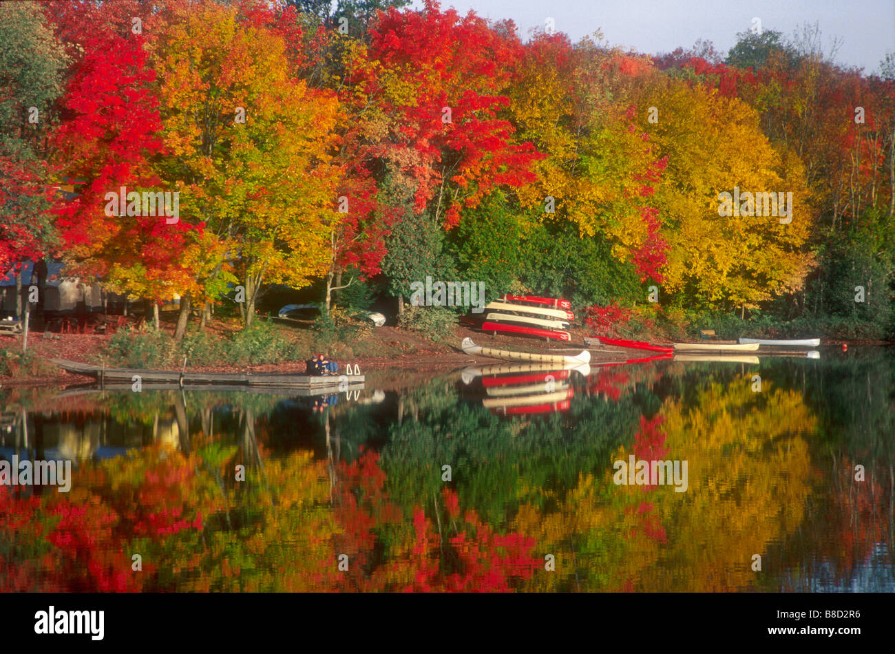 Fall Trees, Oxtongue Lake, Dwight,Ontario Stock Photo