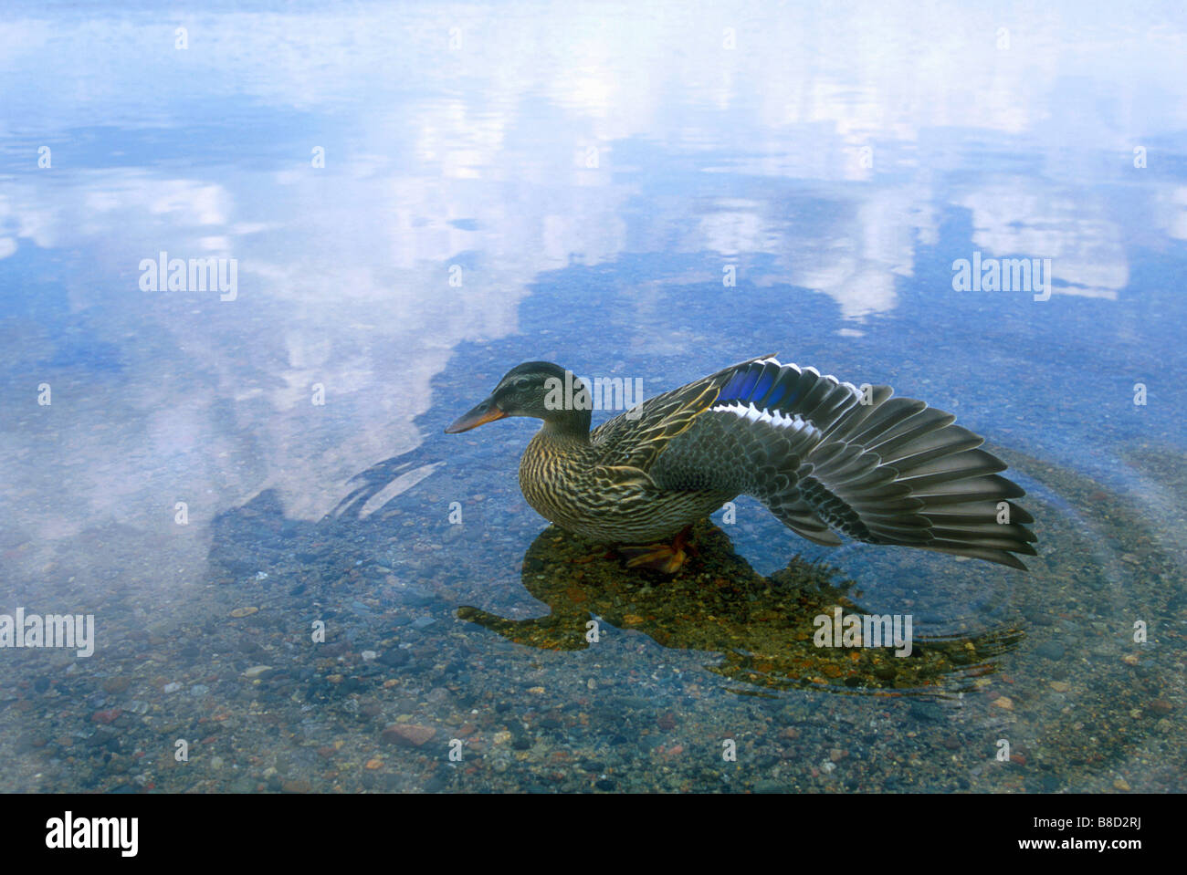 Wakami Lake Provincial Park Stock Photos Wakami Lake Provincial
