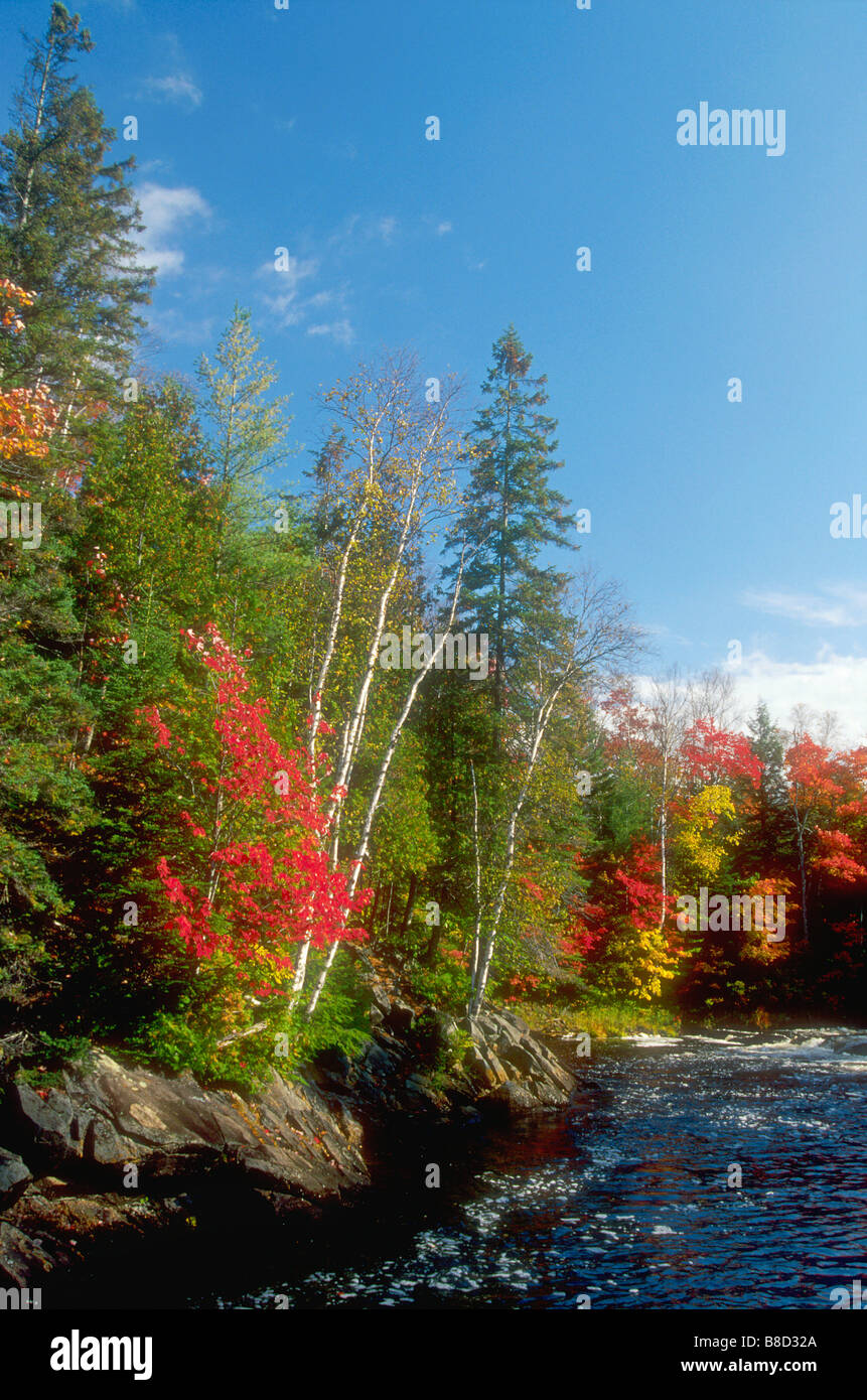Oxtongue River, Dwight,Ontario Stock Photo Alamy