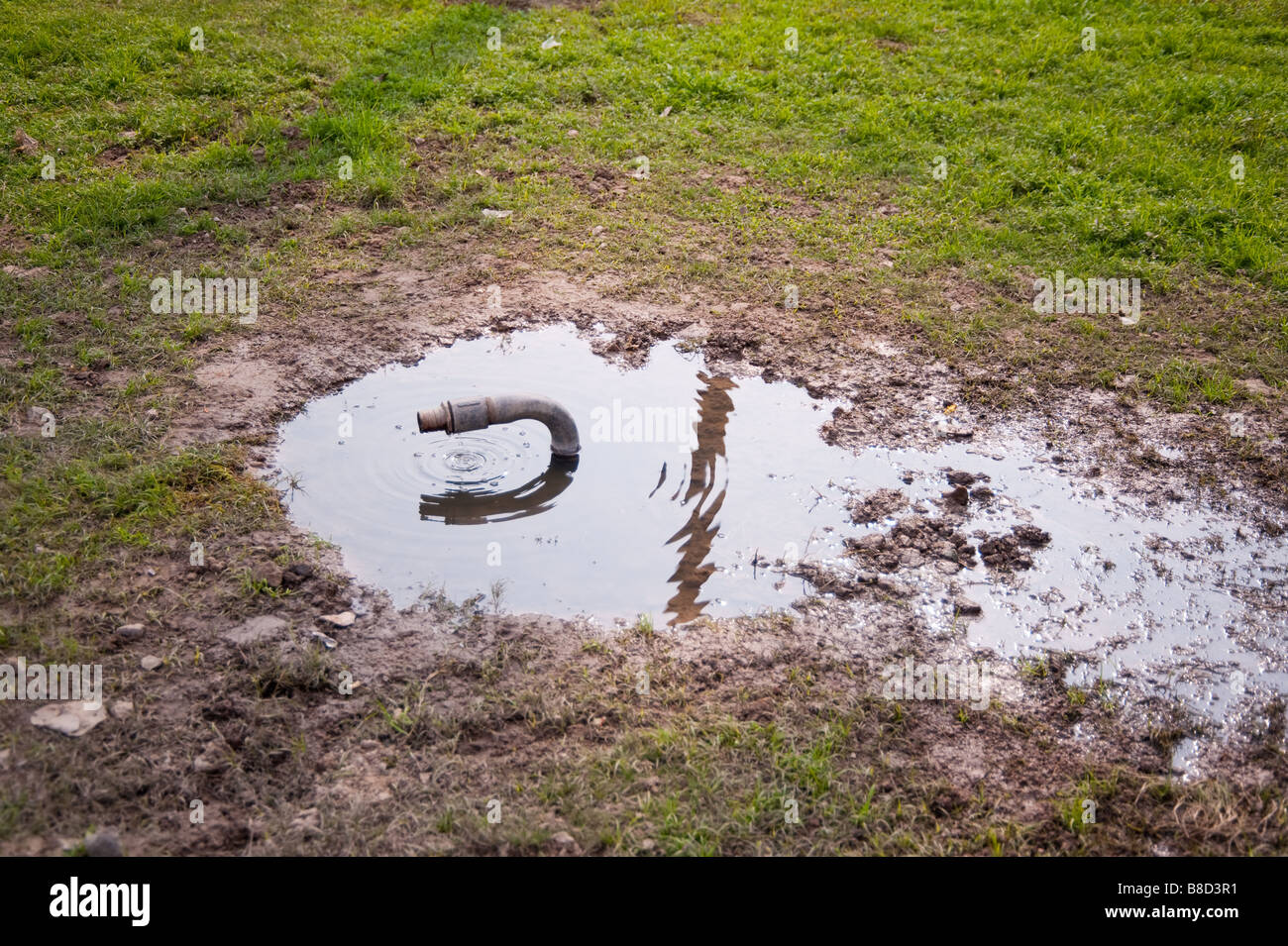 Dripping water from a water pipe causes ripples in the water below