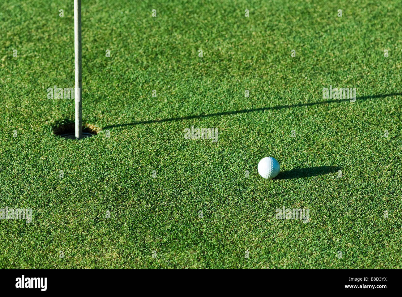 A golf ball a short putt away from the hole with the flag still in it Stock Photo