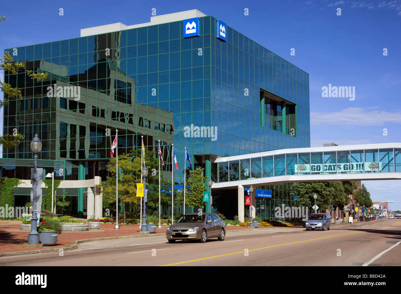 bmo main street moncton