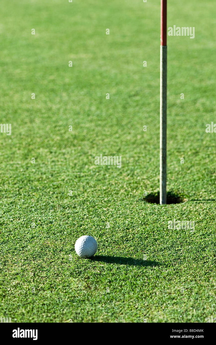 A golf ball a short putt away from the hole with the flag still in it Stock Photo