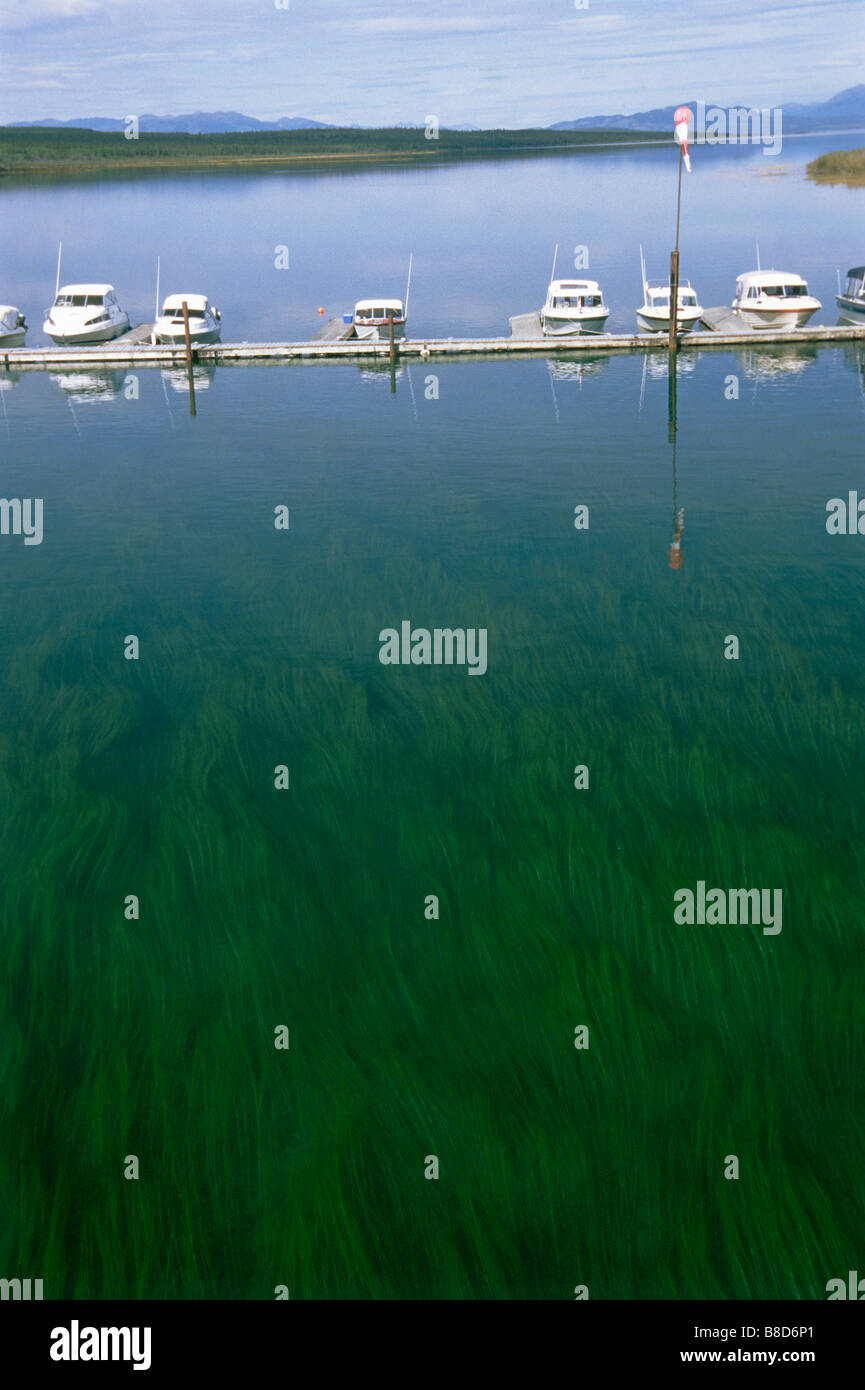 Tagish people hires stock photography and images Alamy