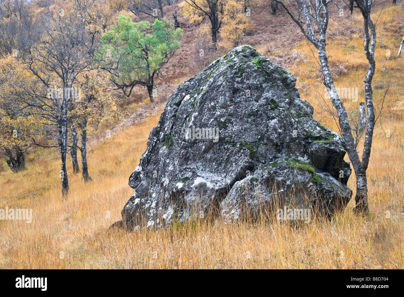 Huge rock in the Scottish highlands. Stock Photo