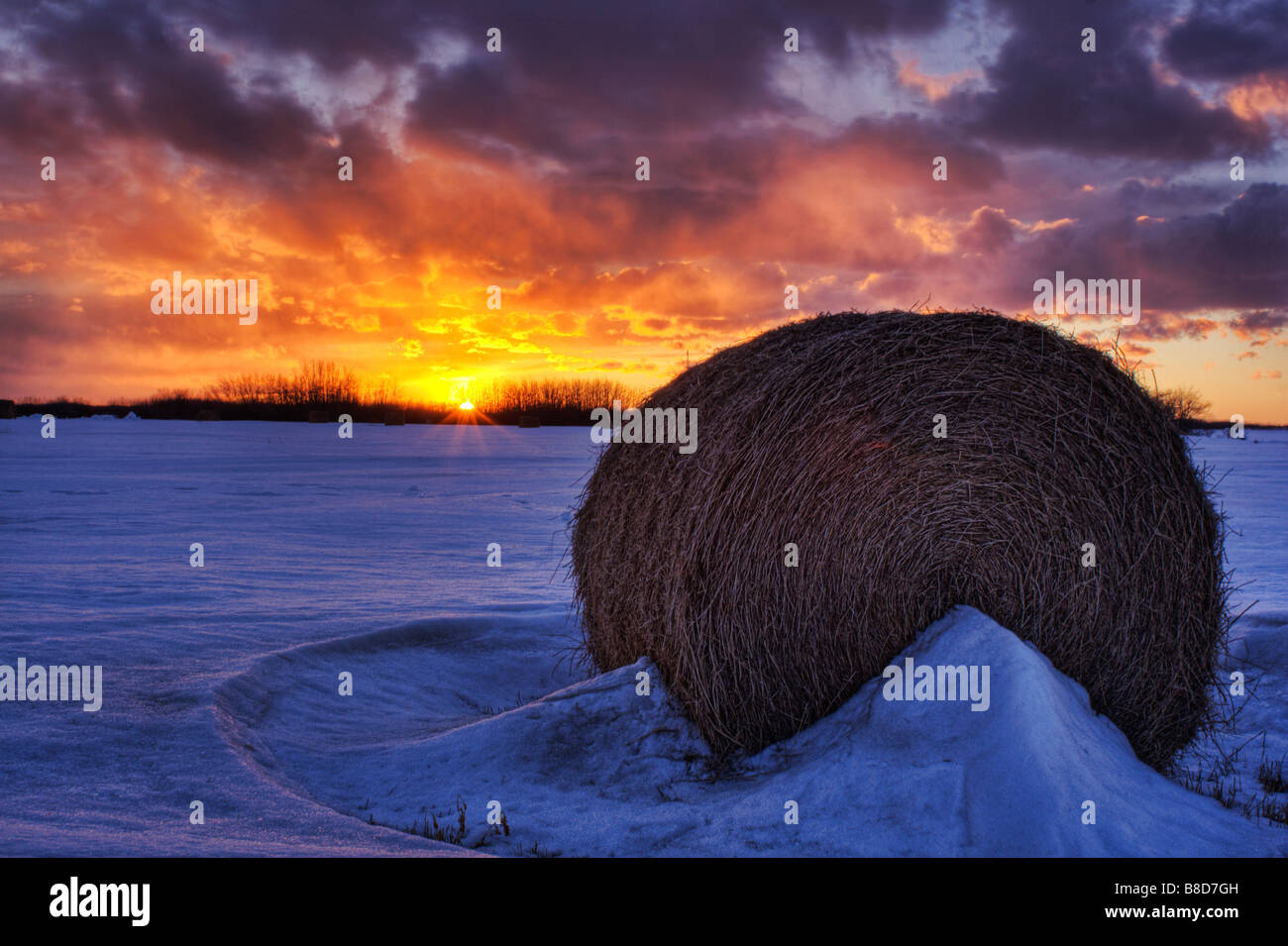 Hay Bale Field Sunset, Namao, Alberta Stock Photo Alamy