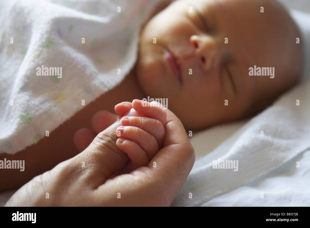 Adult Hand Holding Newborn Baby Boy's Hand Stock Photo Alamy