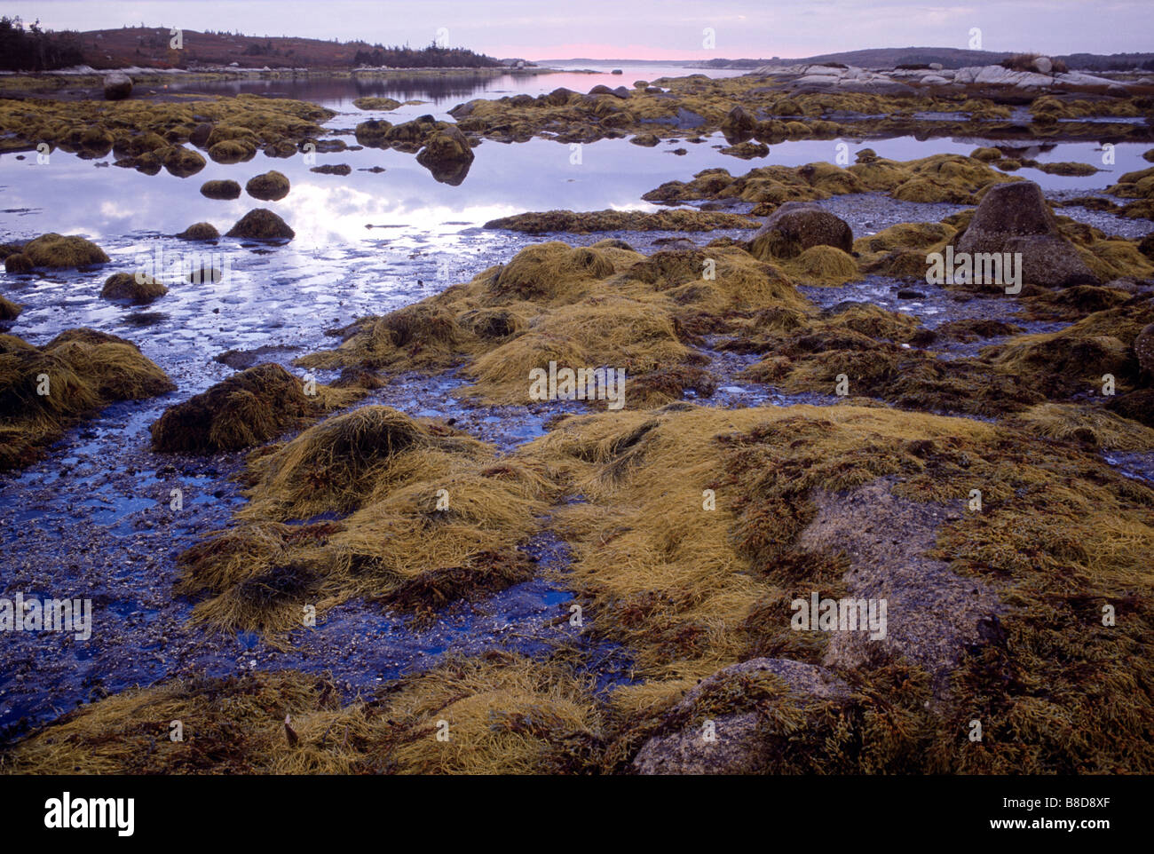 Cove Twilight, Lower Prospect, Nova Scotia Stock Photo Alamy