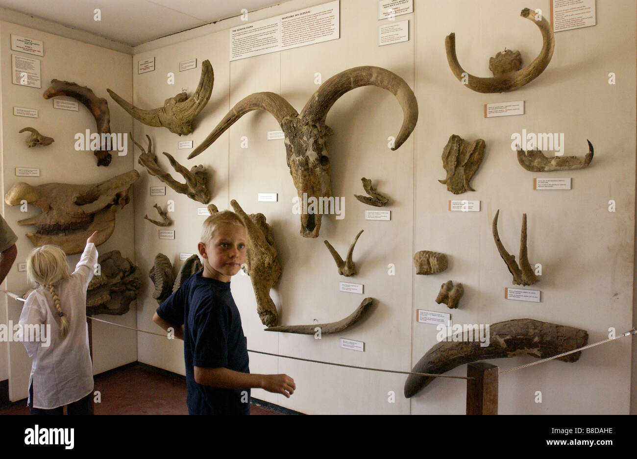 Museum at Olduvai Gorge cradle of mankind Serengeti Stock Photo