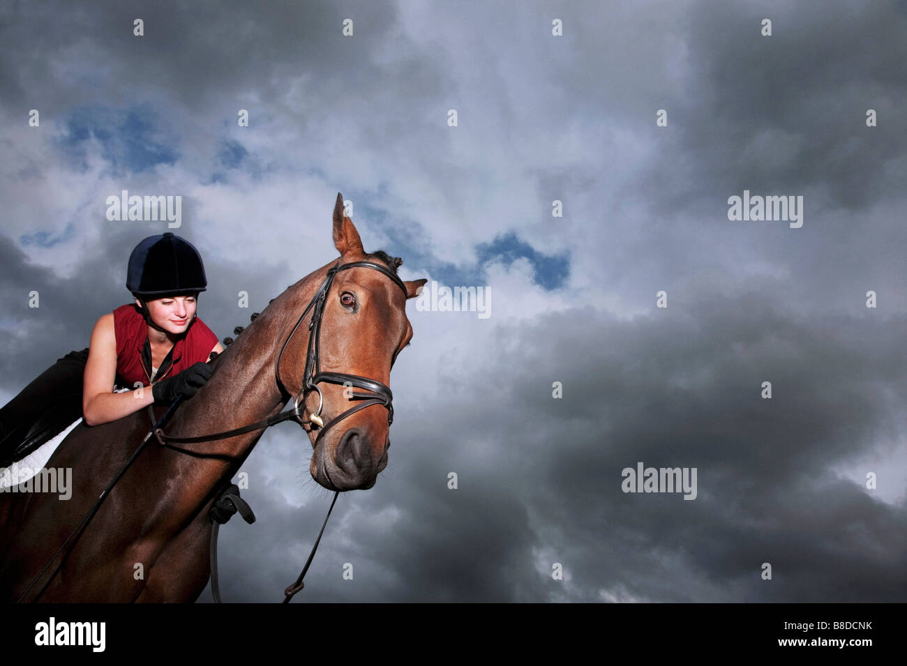 Female jockey riding horse Stock Photo Alamy