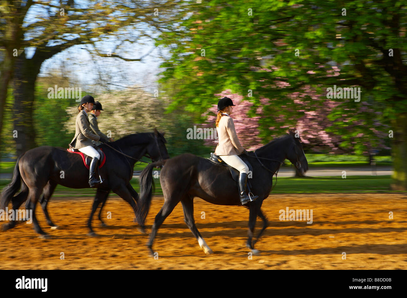 3 horse riders in Hyde Park early on a spring morning, London, England