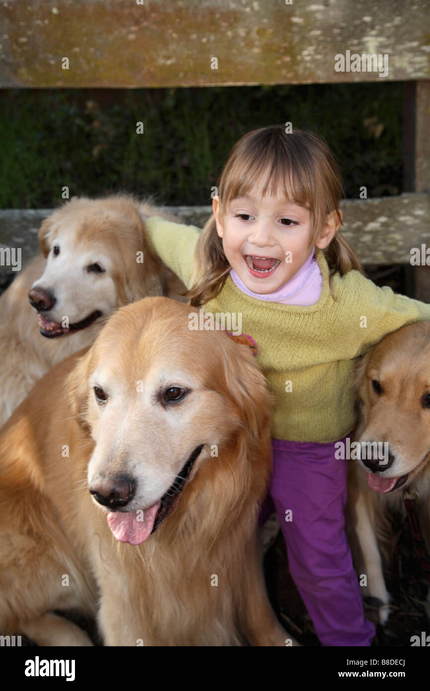 Little Girl Golden Retrievers Stock Photo