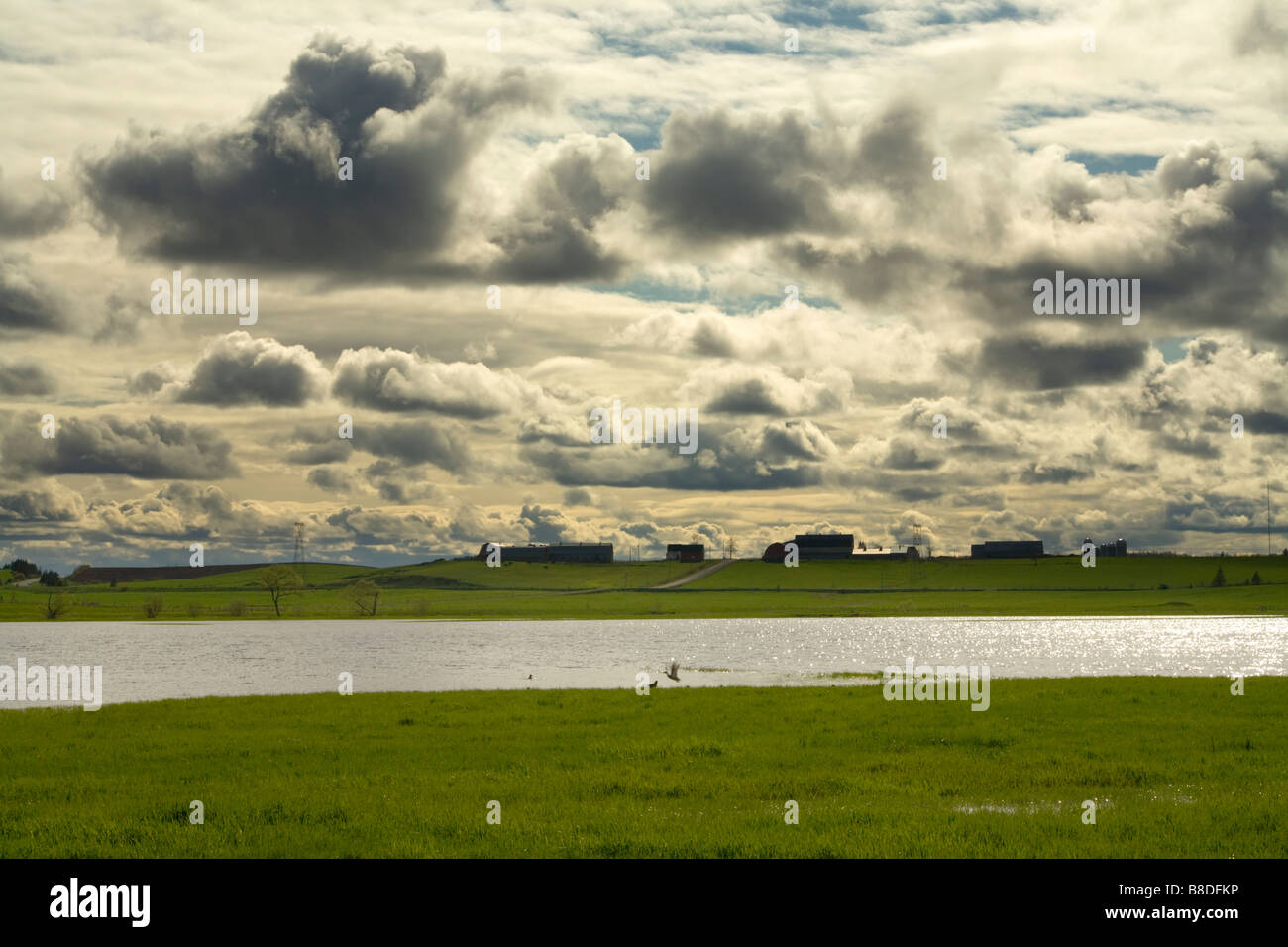 Spring Afternoon along Shubenacadie, Nova Scotia Stock Photo Alamy