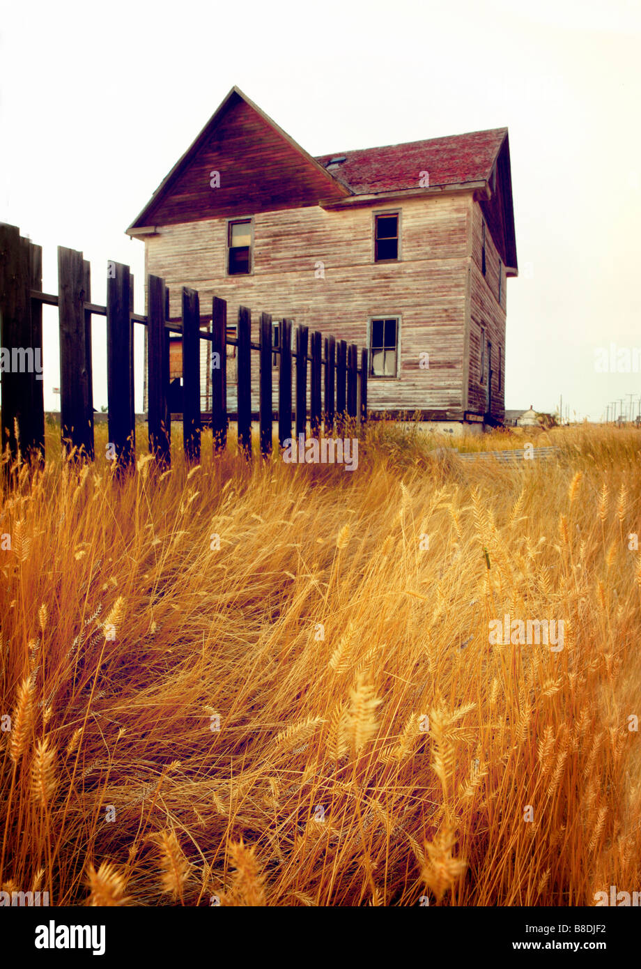 Abandoned house near Robsart, Saskatchewan, Canada Stock Photo Alamy