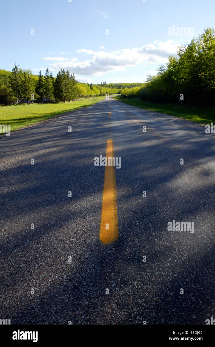 Paved highway, Cypress Hills Interprovincial Park, Saskatchewan, Canada Stock Photo