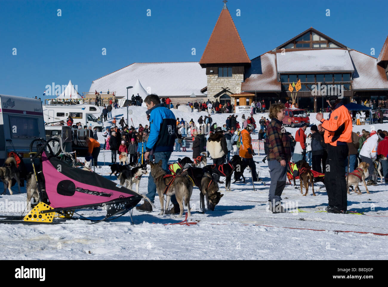 Crowd of people at the annual dog sled race; Saignelegier, Neuchatel, Switzerland Stock Photo