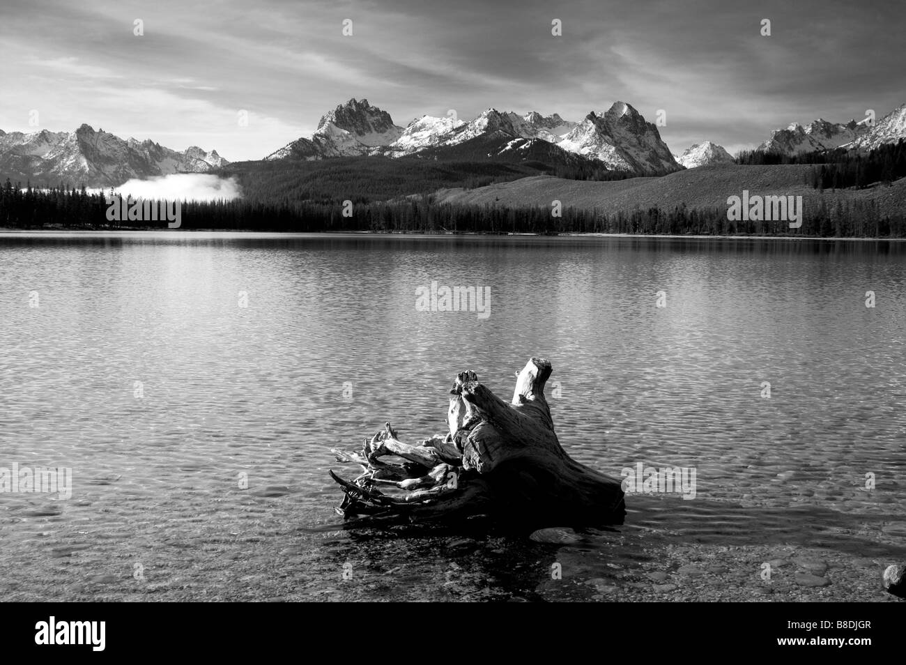 A Black and White image Stump in Water Redfish Lake Idaho Sawtooth Mountain Reflection United States North America Stock Photo