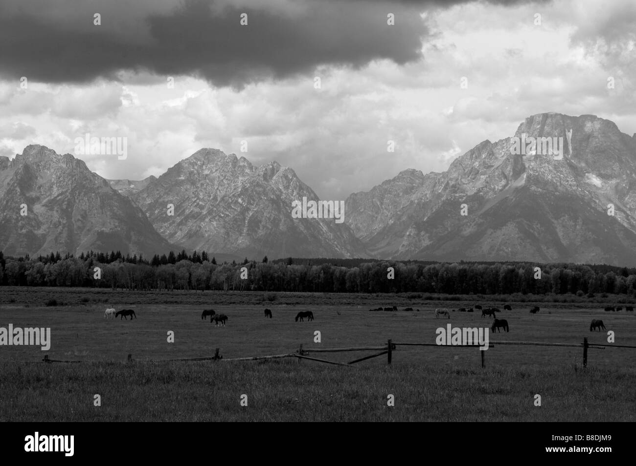 Rocky mountains Black and White Stock Photos & Images - Alamy