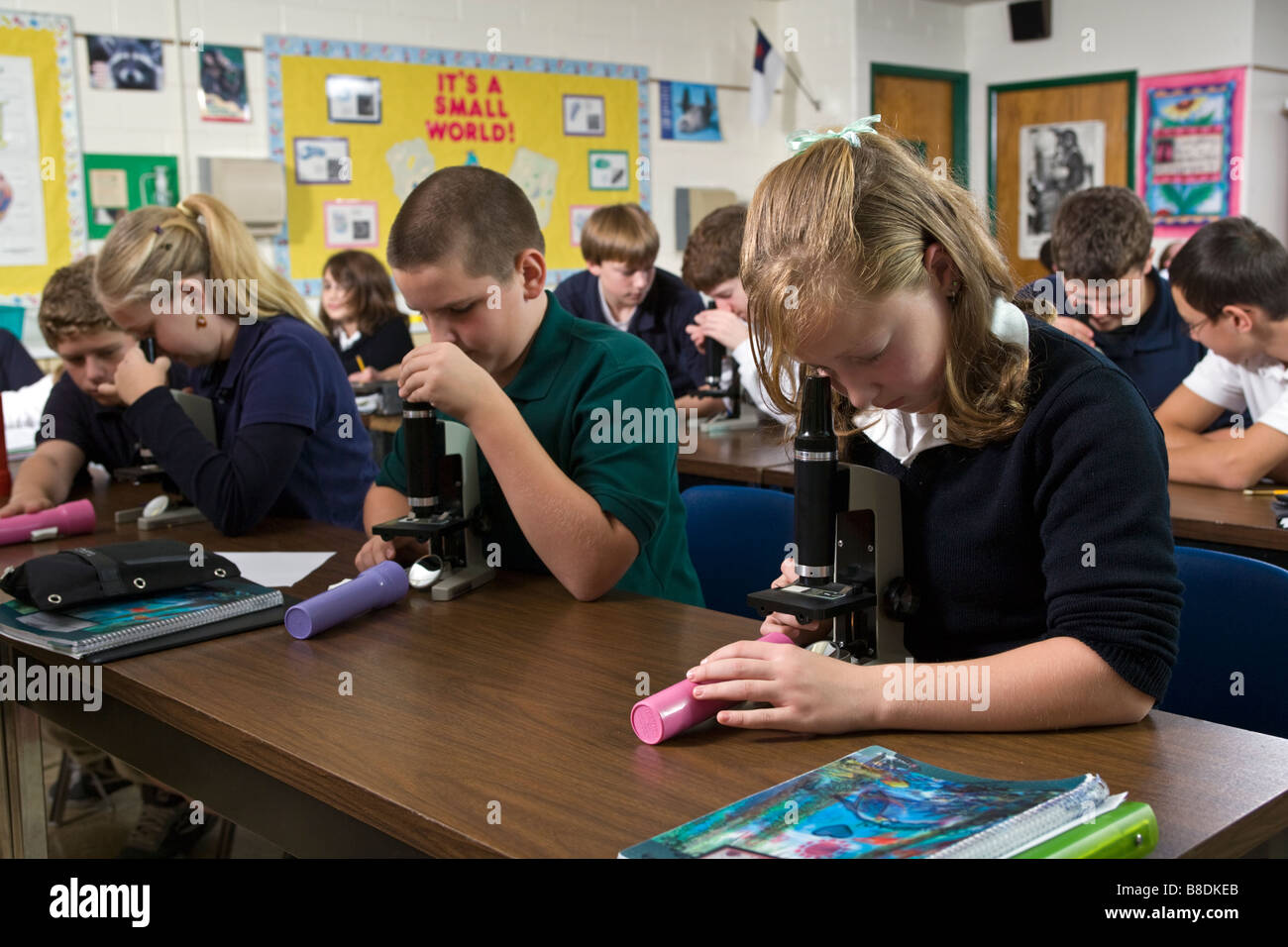 Middle school students in science classroom. Stock Photo