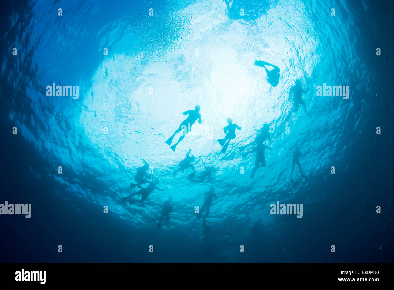 Scuba divers in sea Stock Photo