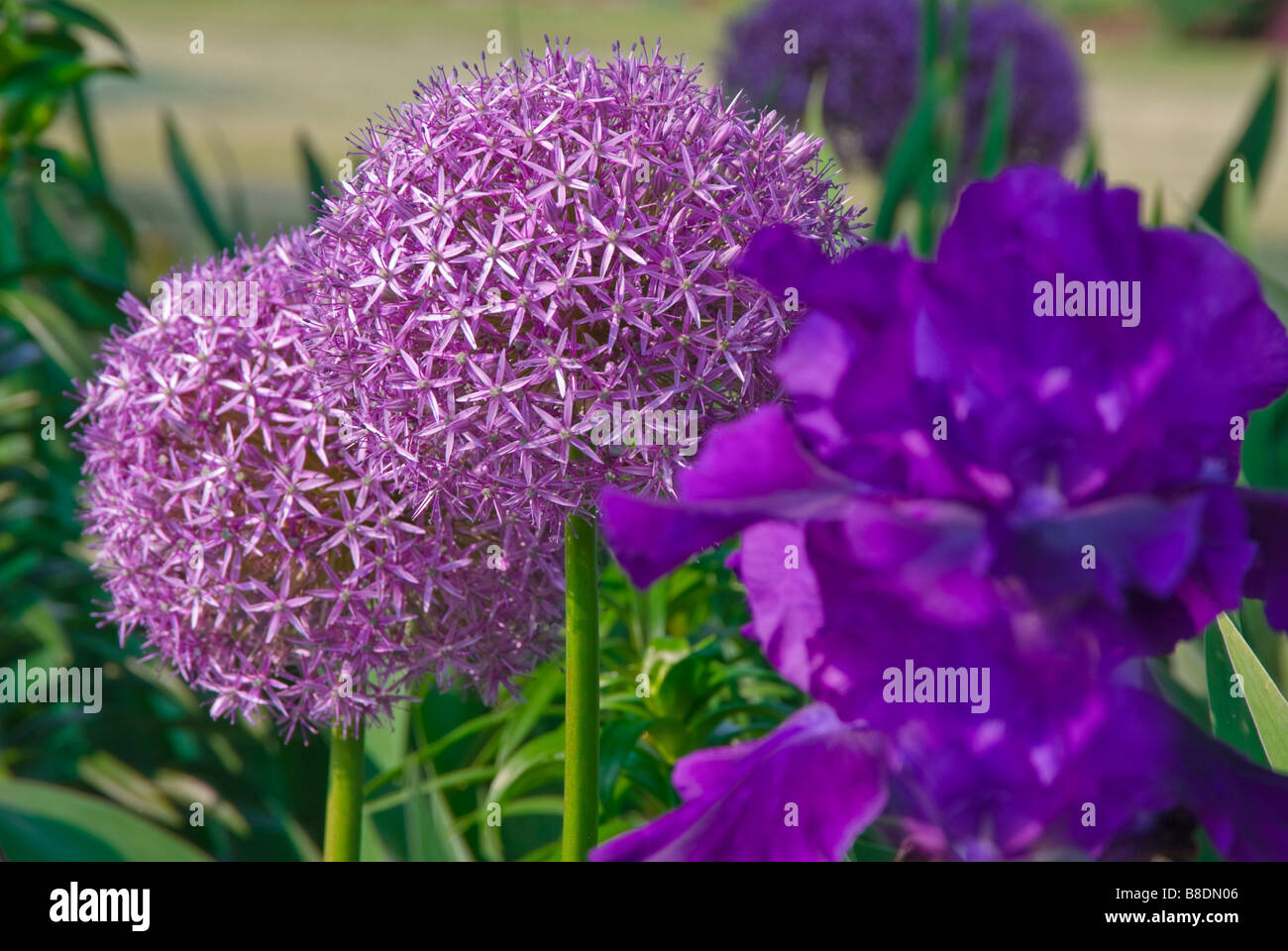 Harmonious color scheme hi-res stock photography and images - Alamy