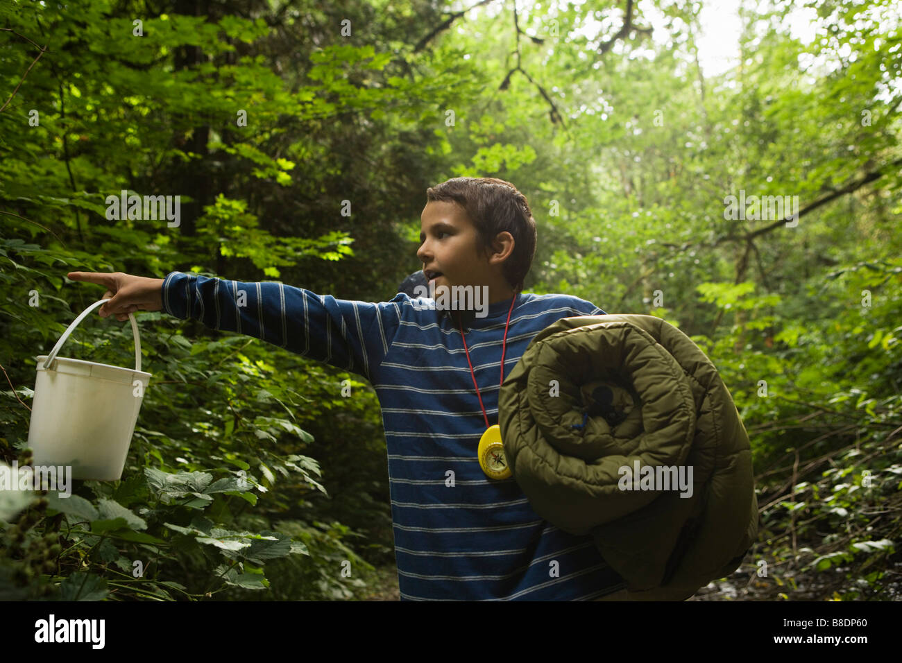 Boy in forest Stock Photo