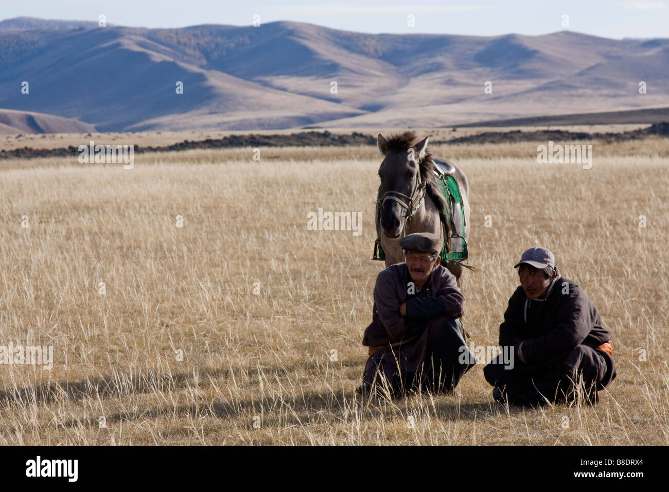 two Mongolian men and their horse in the Mongolian countryside Stock ...