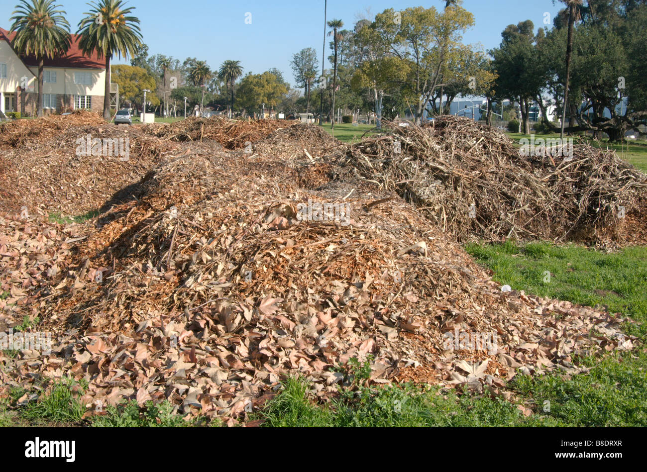 A compost pile Stock Photo Alamy