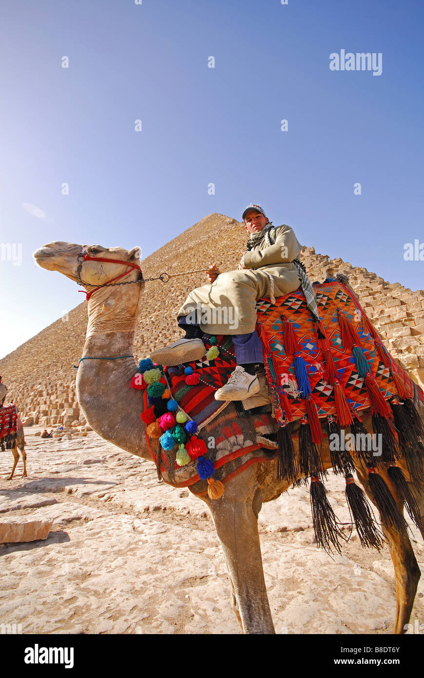 CAIRO, EGYPT. A young Egyptian man on a camel by the Great Pyramid of Cheops at Giza. 2009. Stock Photo