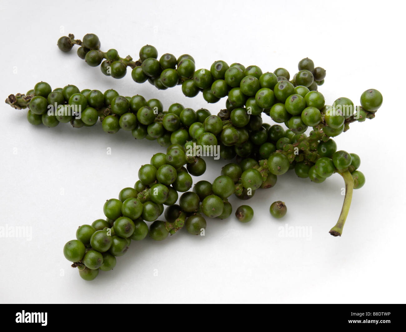 Thai green peppercorns Stock Photo Alamy