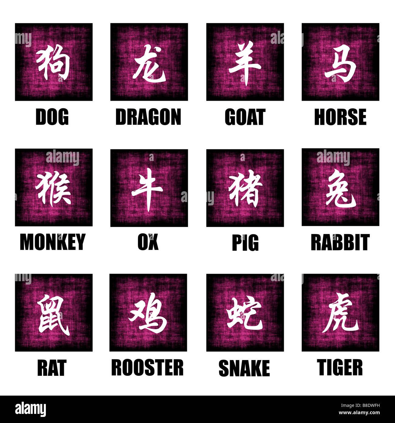 Chinese Zodiac Animals Lunar Astrology Art Set Stock Photo - Alamy