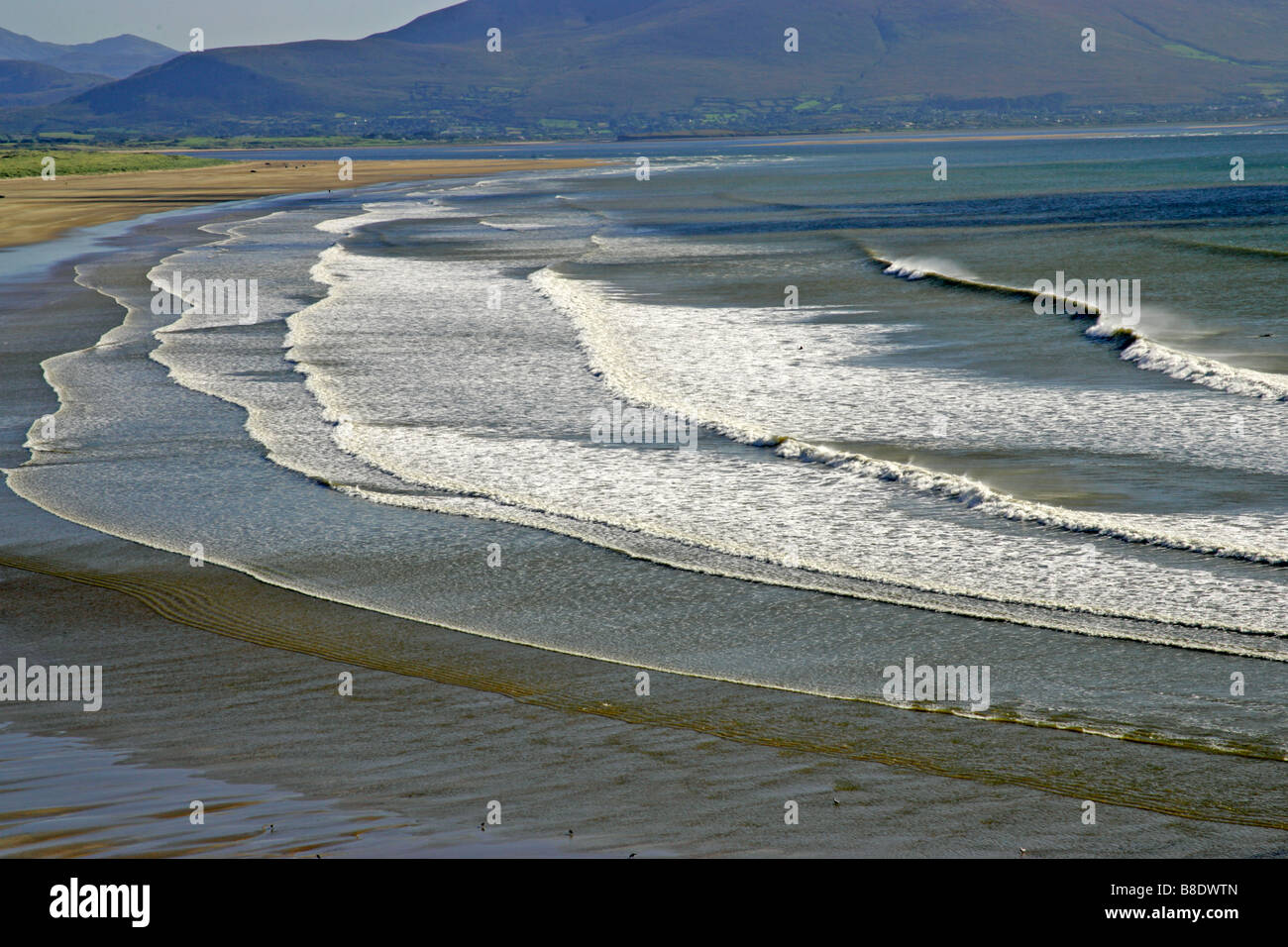 Ireland Kerry Dingle Peninsula Inch Strand beach Stock Photo Alamy