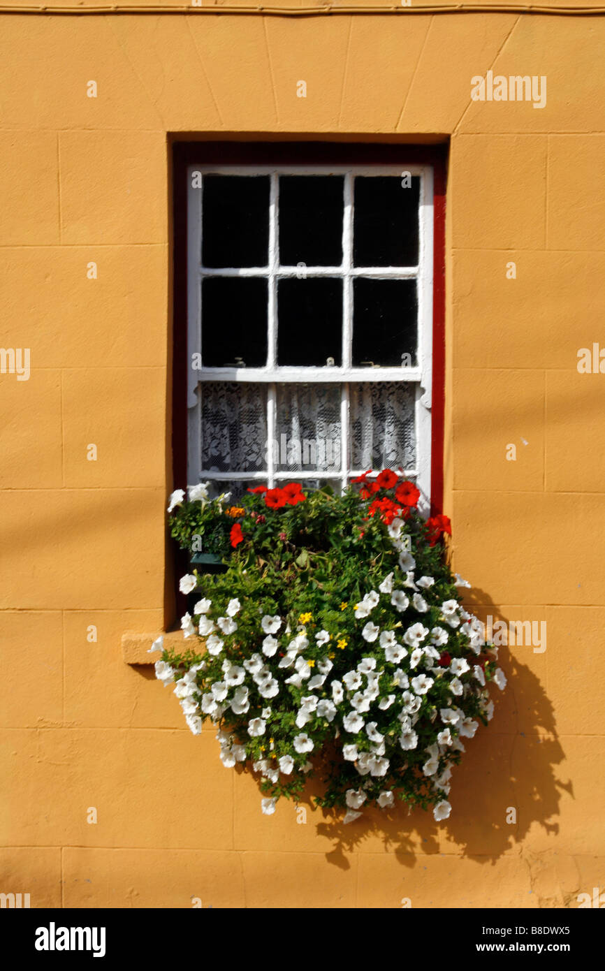 Ireland Kerry Dingle Peninsula Cloghane window with flowers box colorful Stock Photo