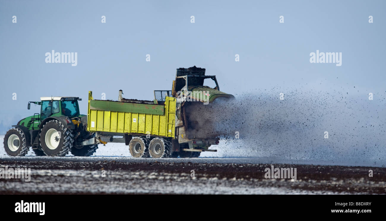 agricultural vehicle spray spraying out compost farming farm field agriculture rural economy cultivation system lime liming dung Stock Photo